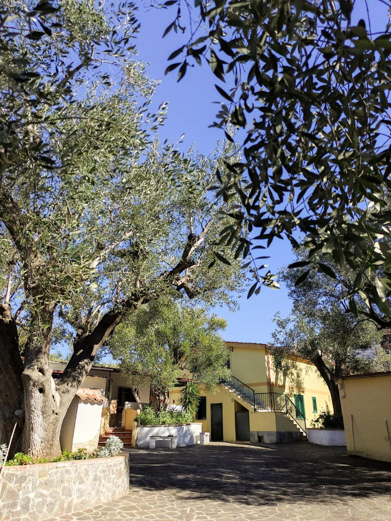 Case Vacanza Da Domingo Marina di Camerota Exteriér fotografie